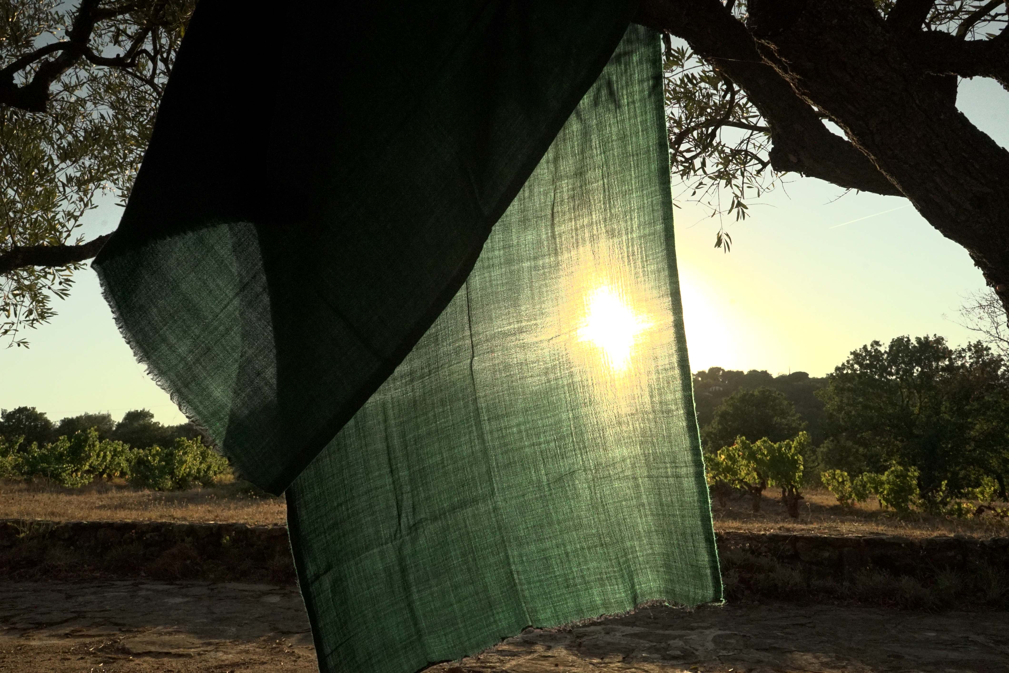 Pashmina 100% cachemire bicolore - Vert et noir