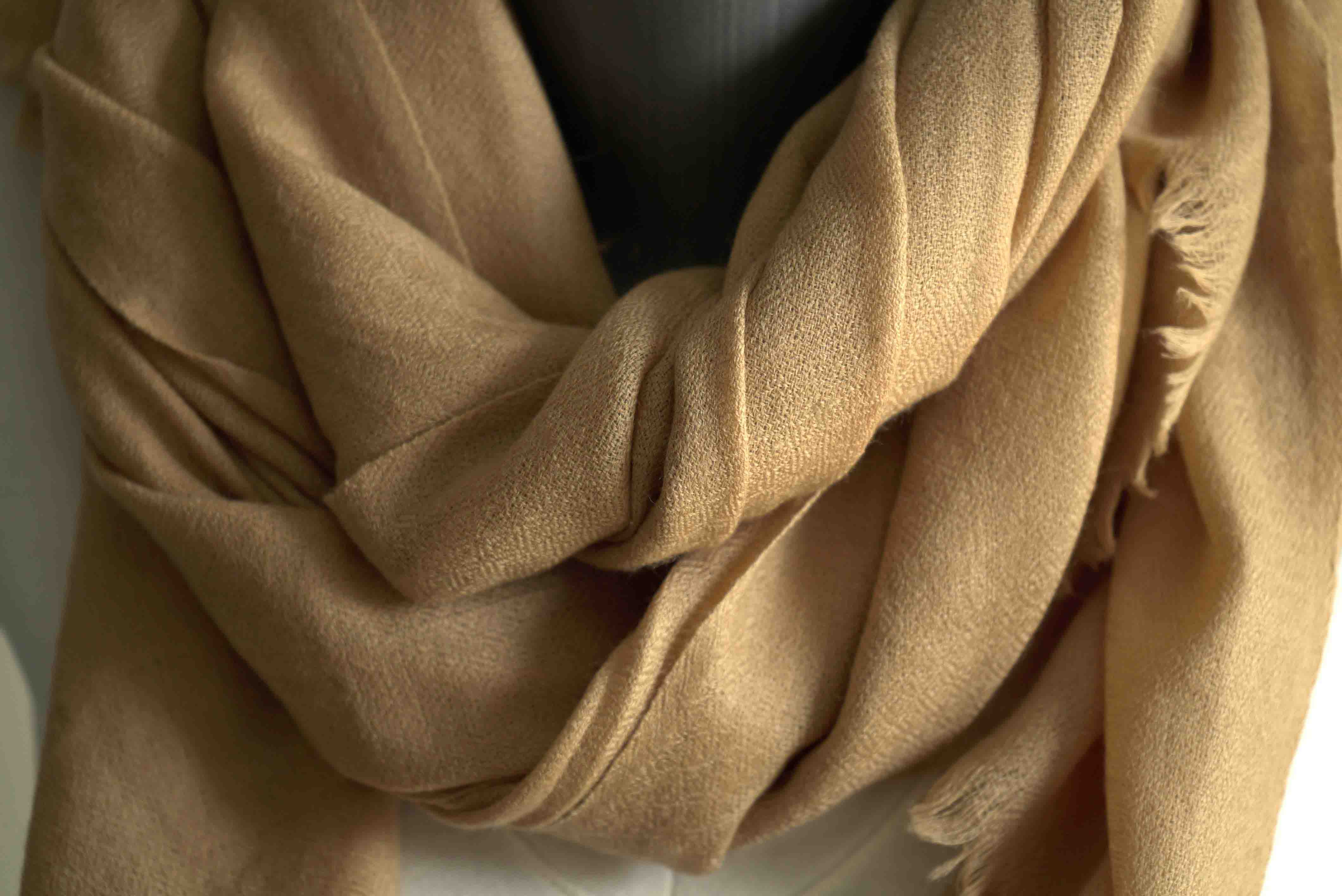 Pashmina 100% cachemire tissage oeil d'oiseau -Beige